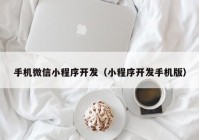 手机微信小程序开发（小程序开发手机版）