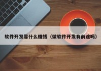 软件开发靠什么赚钱（做软件开发有前途吗）