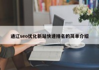 通辽seo优化新站快速排名的简单介绍