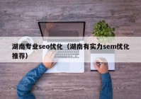 湖南专业seo优化（湖南有实力sem优化推荐）