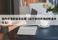 软件开发职业怎么填（关于软件开发的职业叫什么）